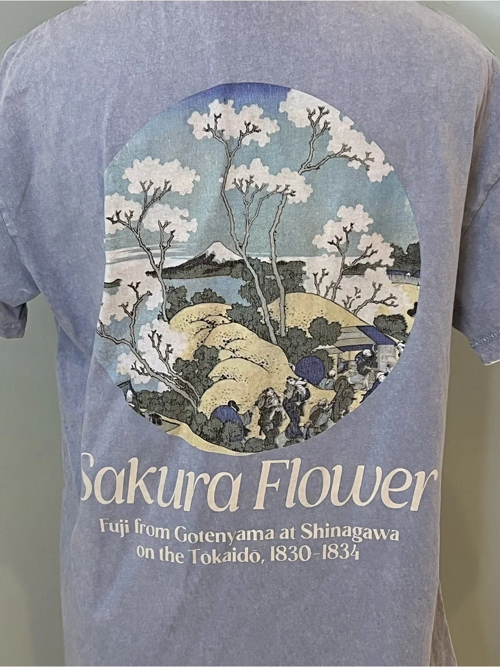Pull&Bear graphic t-shirt | washed blue featuring “Sakura Flower" | Size XS - Picture 4 of 9